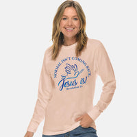 Thumbnail for Normal Isn't Coming Back Jesus Is Unisex Long Sleeve T Shirt