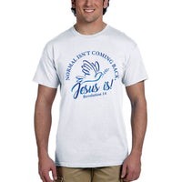 Thumbnail for Normal Isn't Coming Back Jesus Is Men's T-Shirt