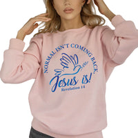 Thumbnail for Normal Isn't Coming Back Jesus Is Crewneck Sweatshirt